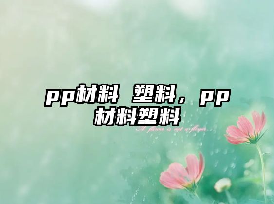 pp材料 塑料，pp材料塑料